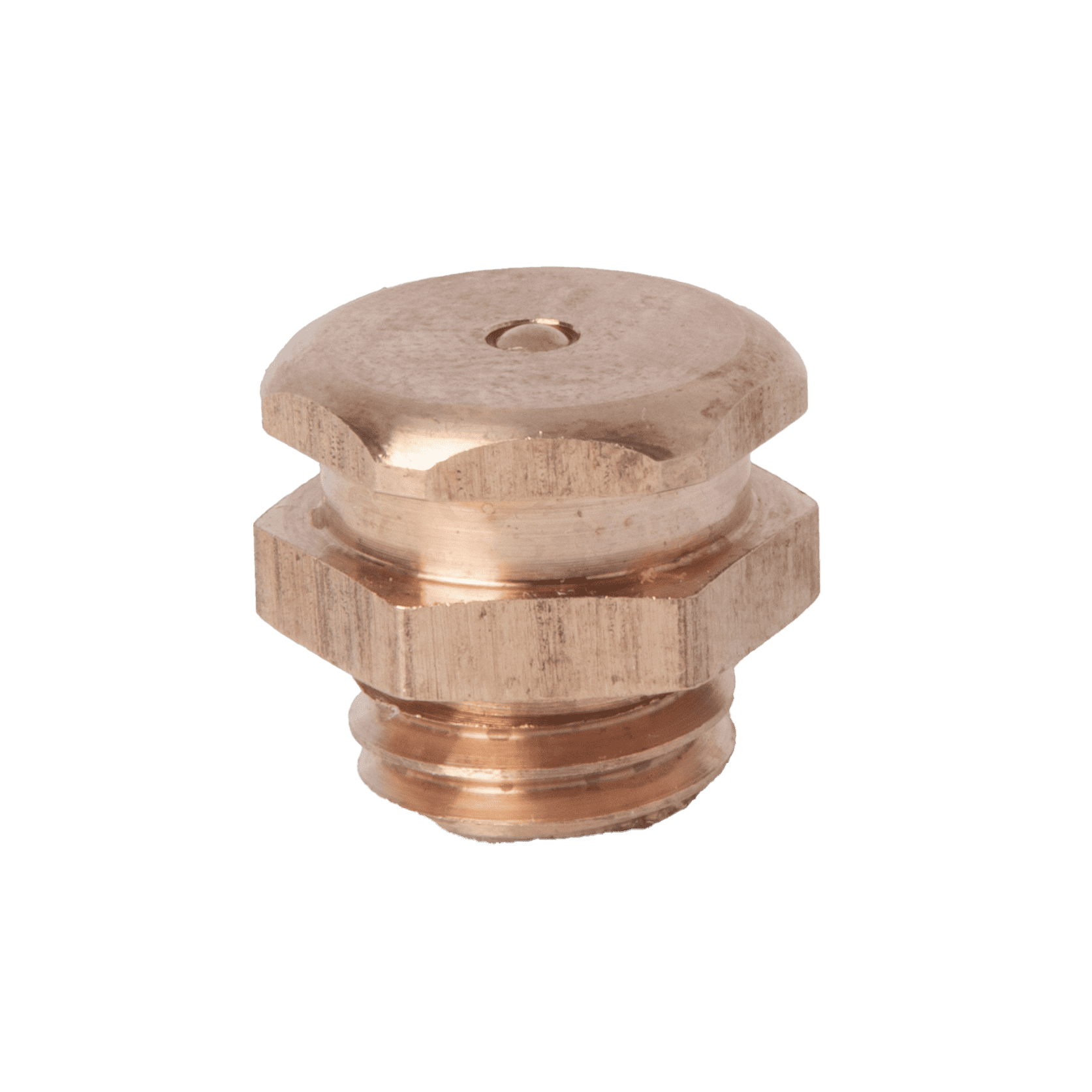 M12 x 1.75 British Button Head Phosphor Bronze - 1 pcs