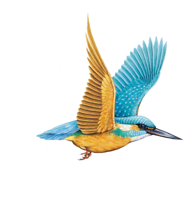 Kingfisher (Lubrication) Webshop